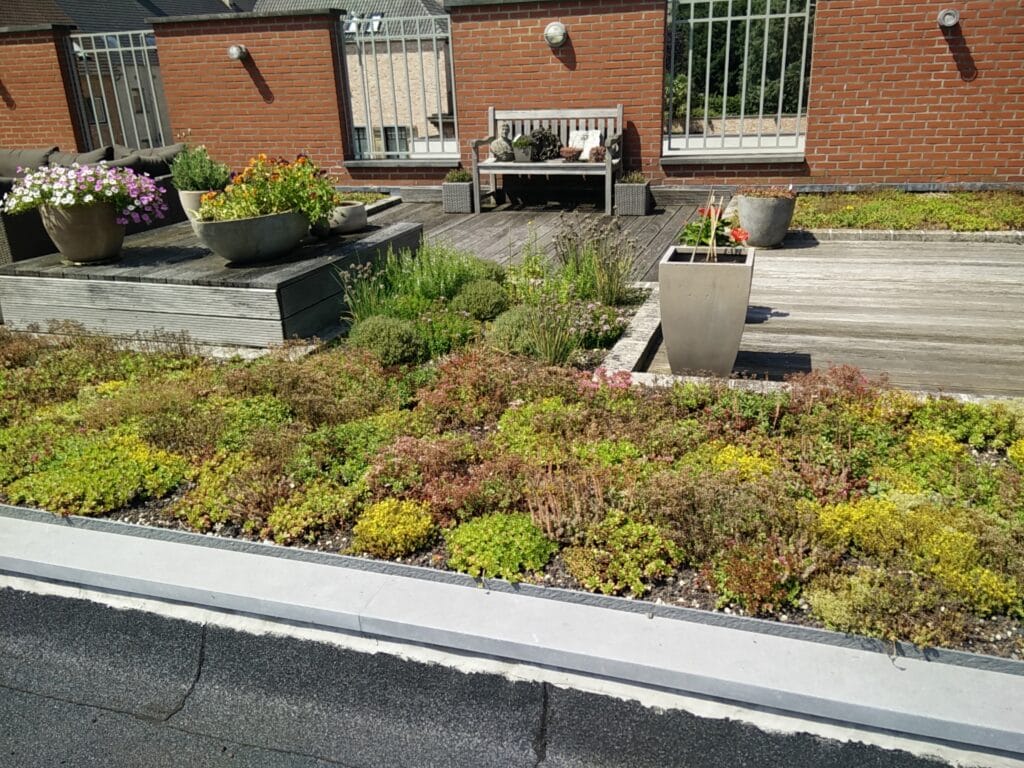 Juli 2021 Wat is een gezonde woning