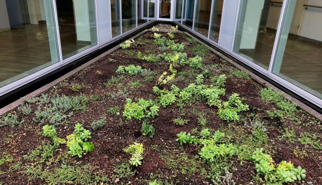 groendak op ziekenhuis zottegem
