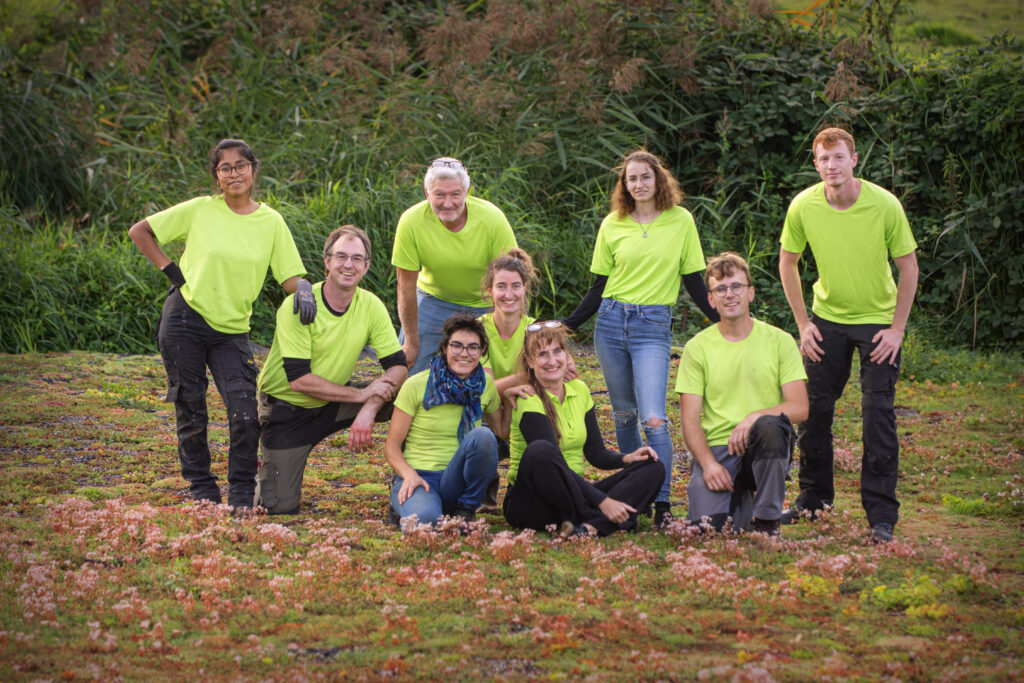 Team groenpalet
