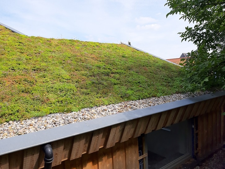 Un toit vert impressionnant en pente