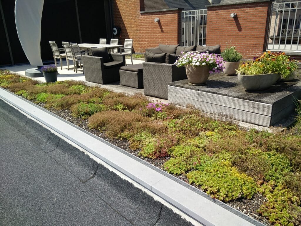 Une vue reposante. Groendak met dakterras en bloempotten