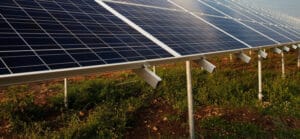 Zonnepanelen aanleggen op een groendak