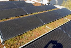 Groendak en zonnepanelen: Zonnepanelen aanleggen op een groendak