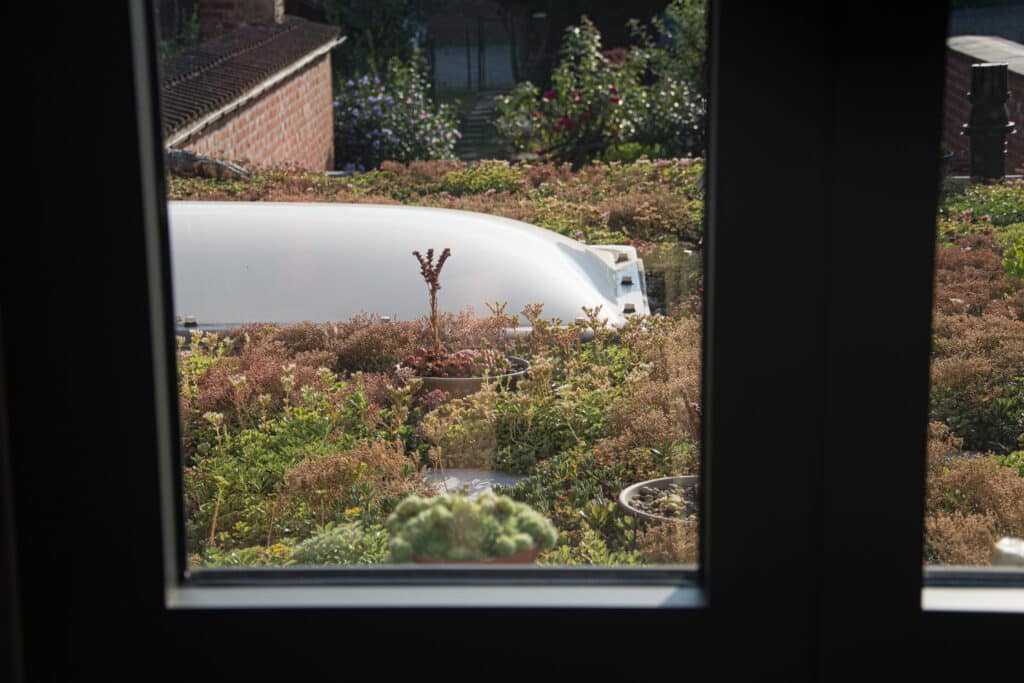 Zicht op groendak vanaf studeerruimte