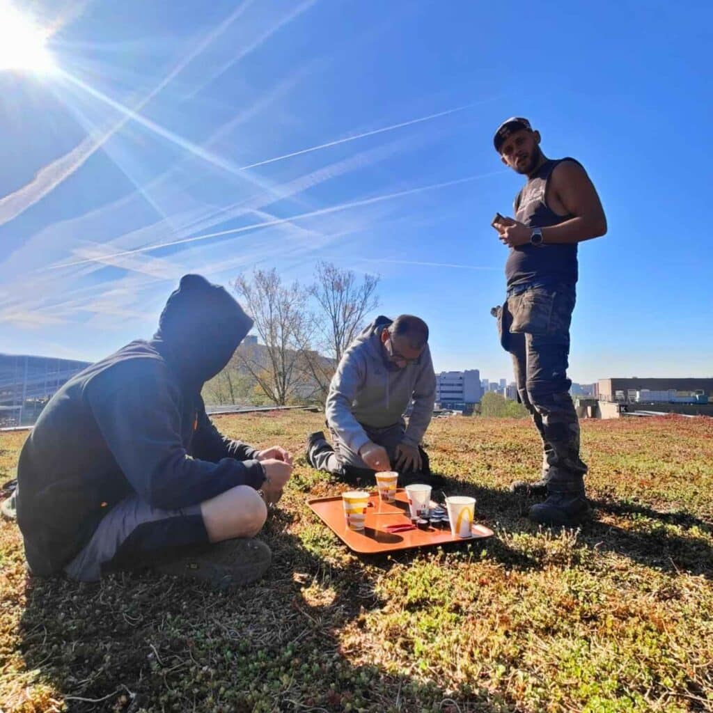 Jouw daktuinprofiel: Dejeuner sur le toit