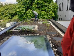 Project Laken: Zon beplanting