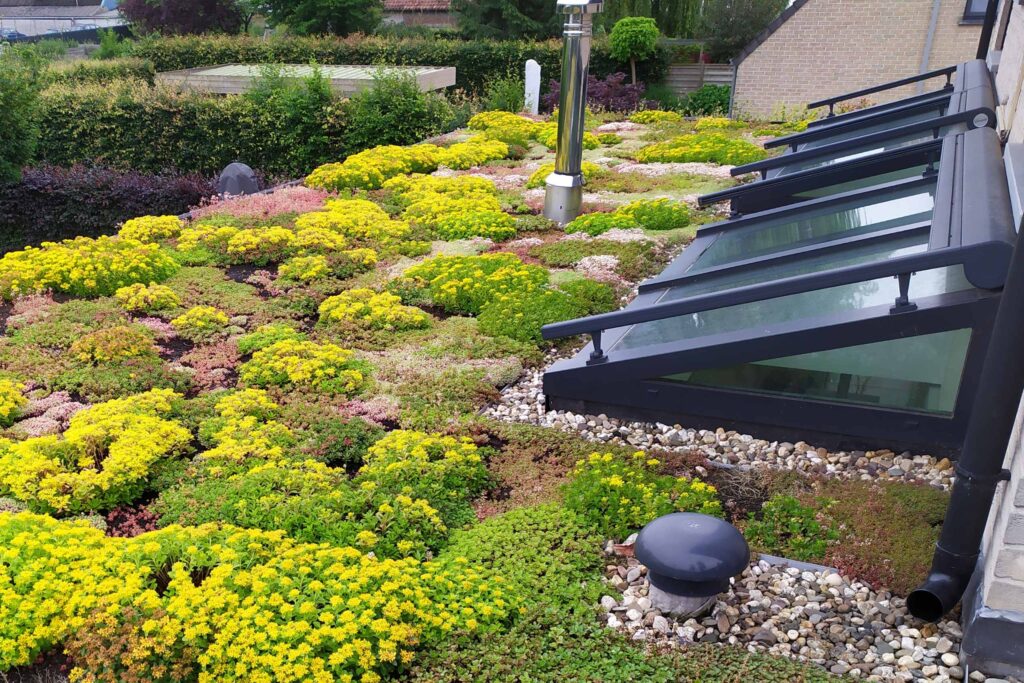 Ook zonder Nieuwe ramen bij groendak: geluidsisolerend