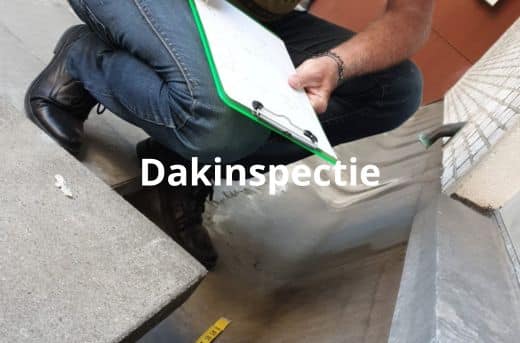 Professionele Dakinspectie