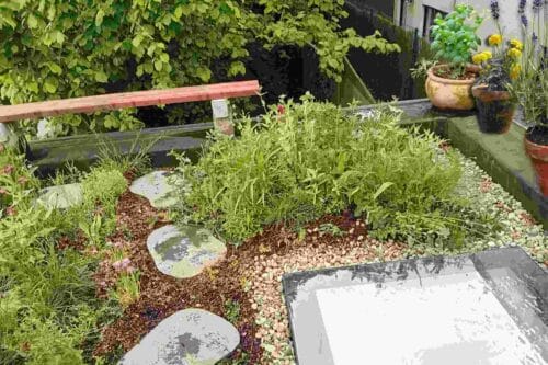 Groendak met basilicum, goudsbloem en lavendel op de dakrand.