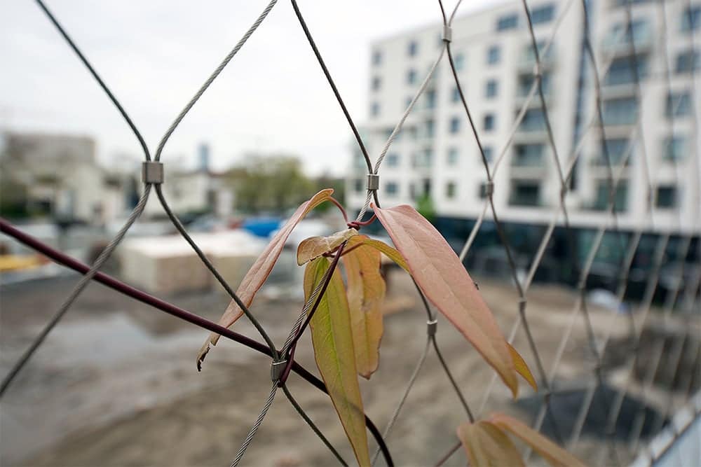 Dakpark met groene gevel