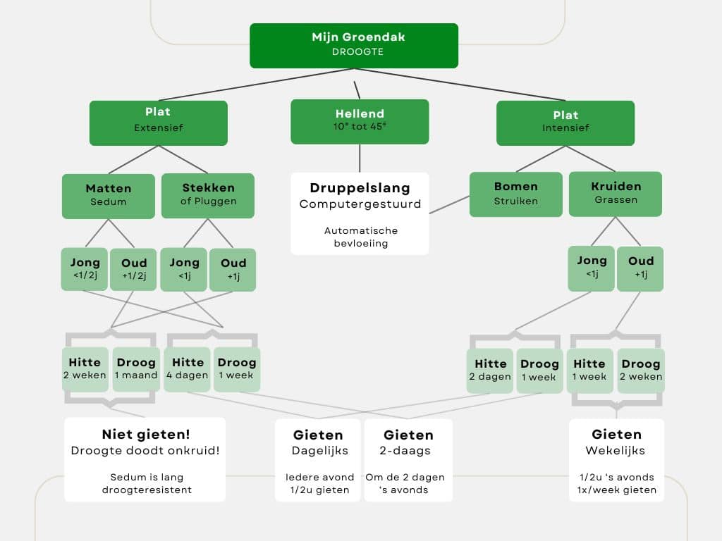 Optimaal watergeven groendak samenvatting