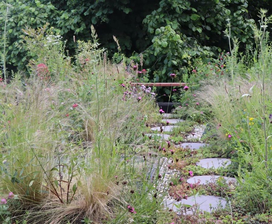 bloemrijk grasland op platte daken