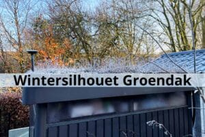 Wintersilhouet Groendak