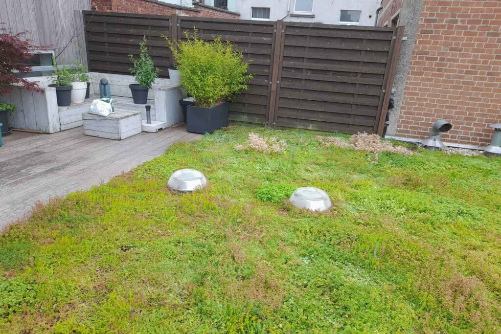 Groendak premie Gent 2025