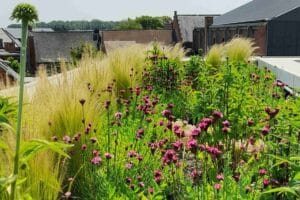 Green Deal Natuurlijke Tuinen